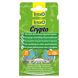 Crypto