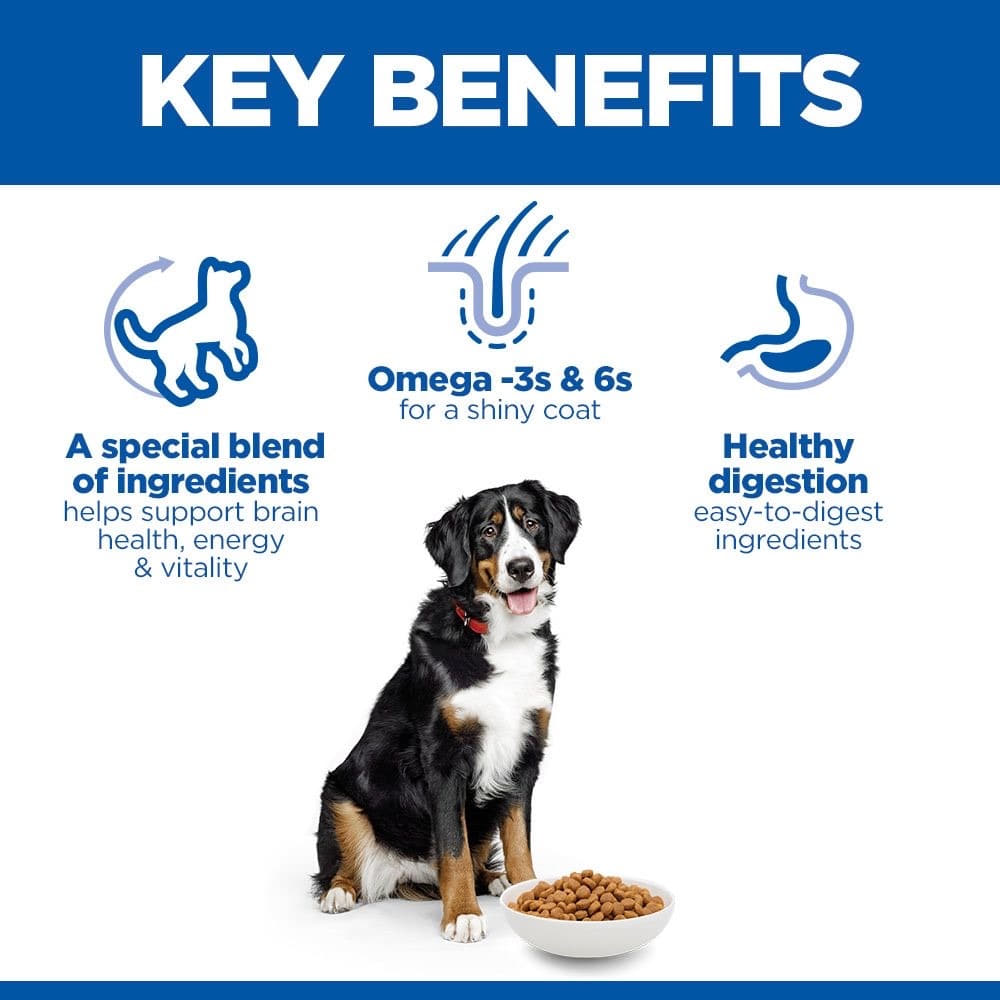 Canine Senior Vitality 6+ Large Breed