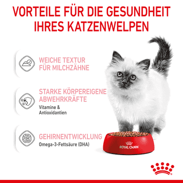 Kitten in  Sauce - Frischebeutel