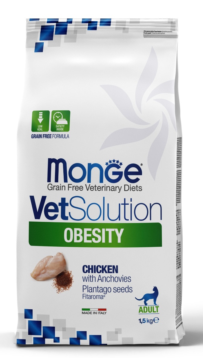 Obesity Cat