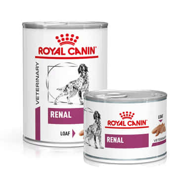 Renal - Dose