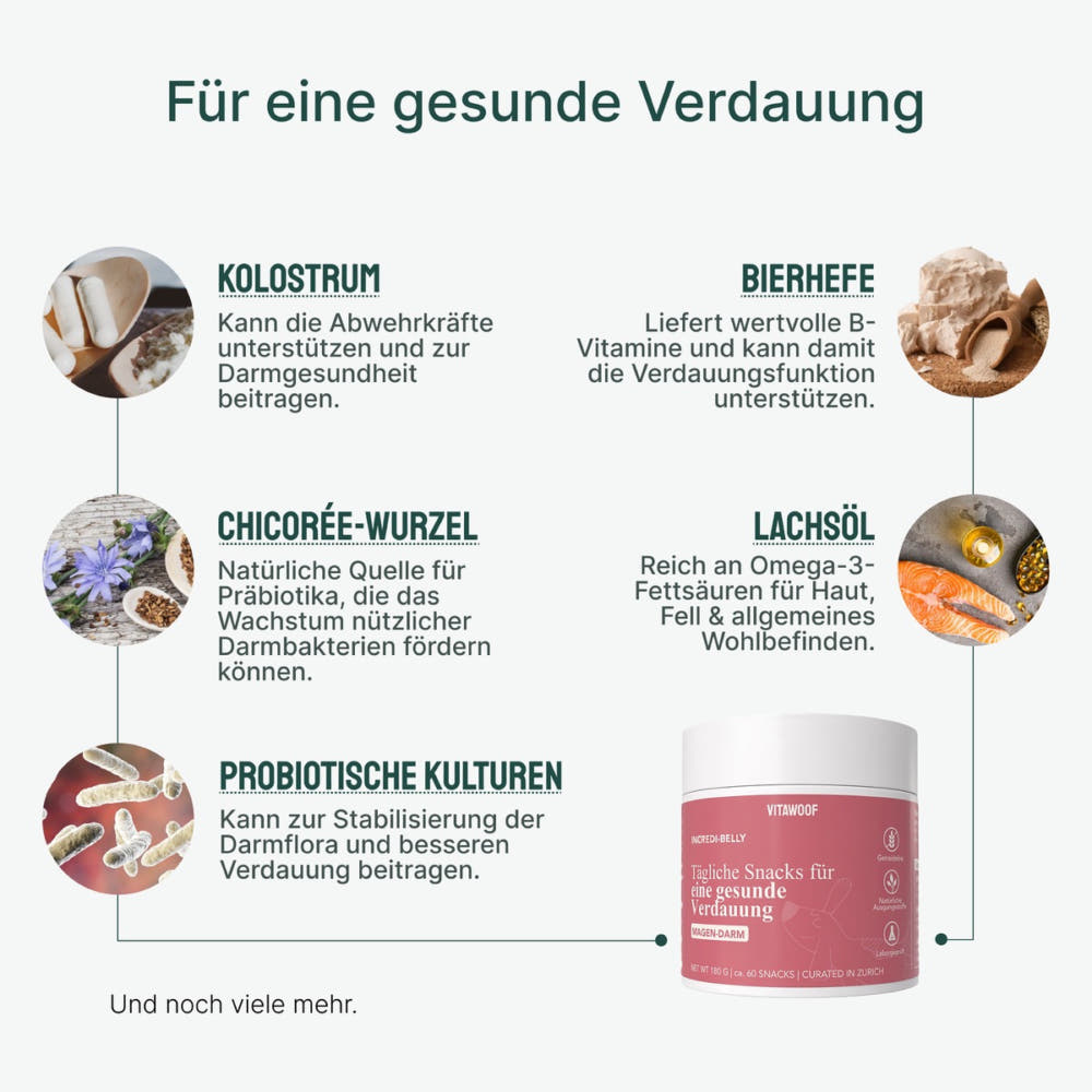 Incredi-Belly Snack gastro-intestinal