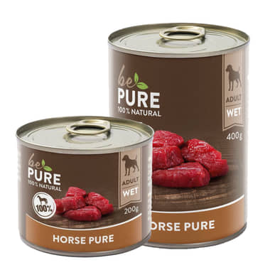 Dog Horse pure