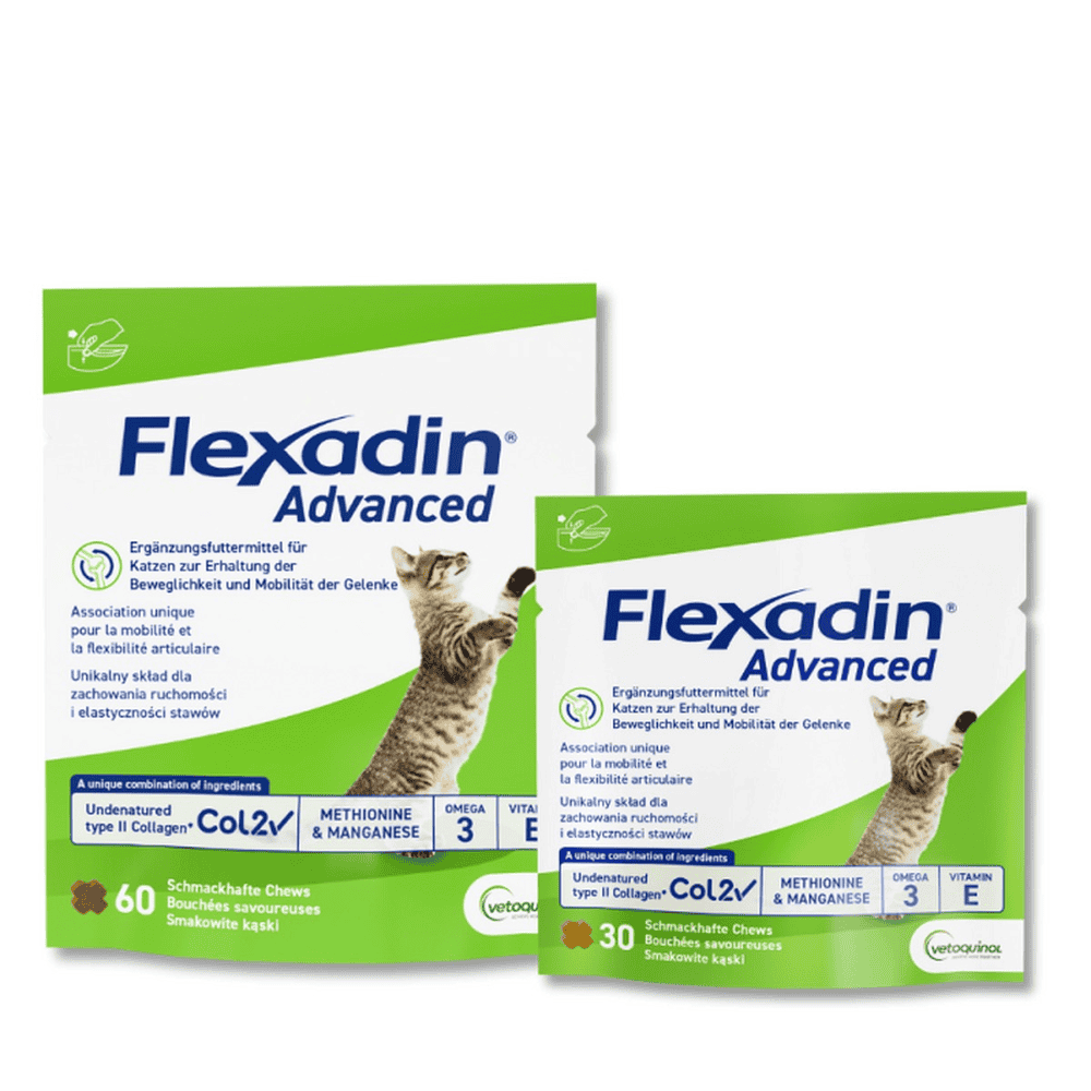 Flexadin Advanced Katze