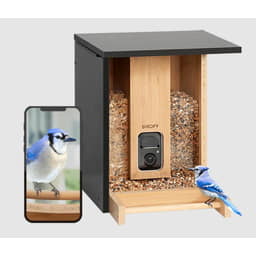Birdfy Feeder Bamboo - Mangeoire pour oiseaux avec caméra