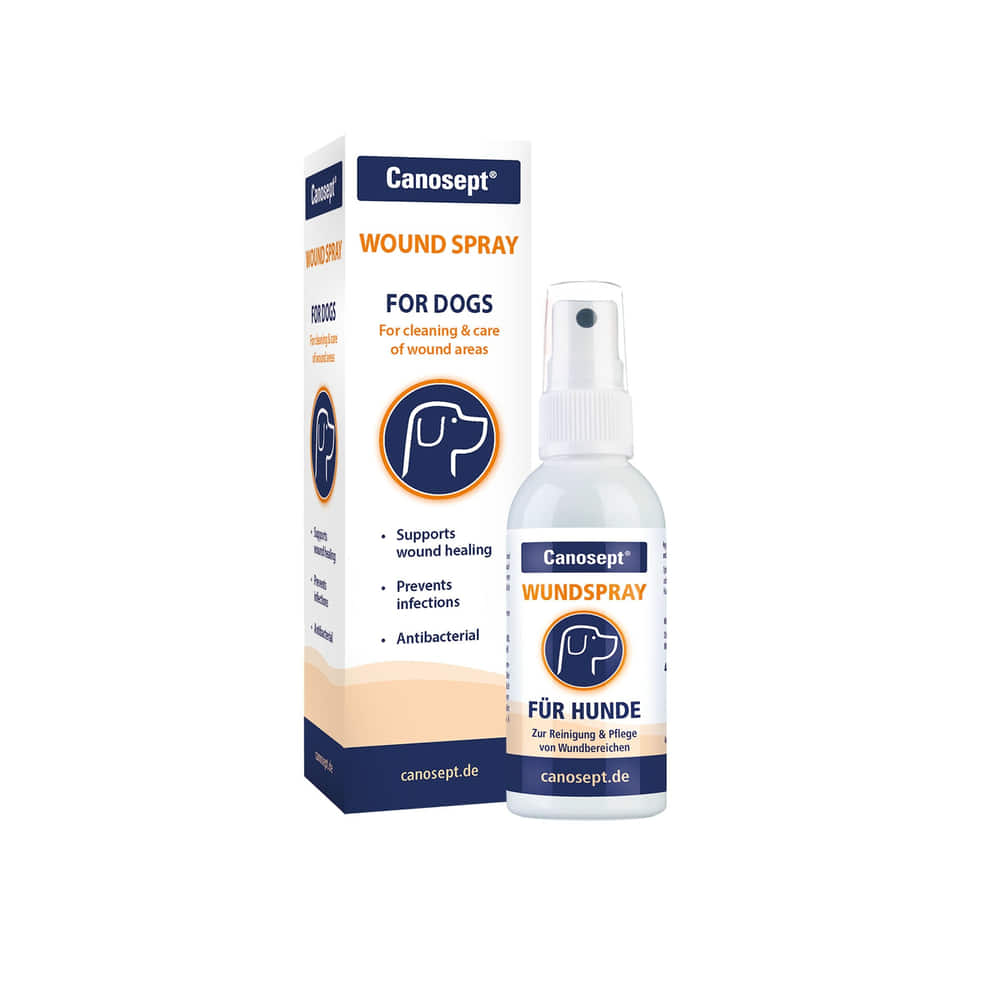 Spray pour plaies