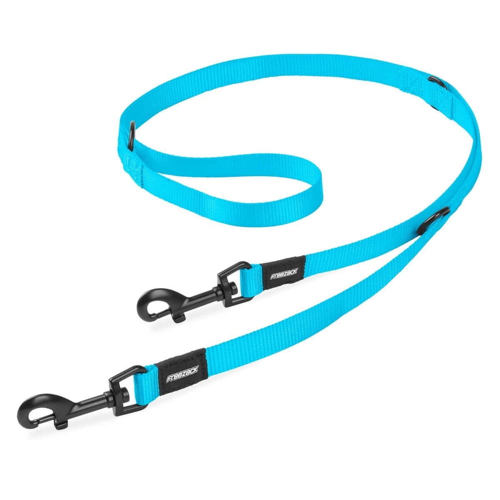 Basic Dog leash XL