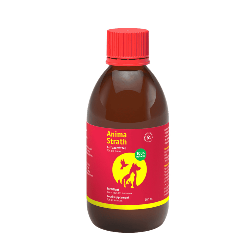 Anima Strath liquid