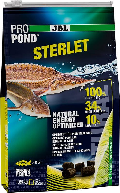 PRO POND Sterlet