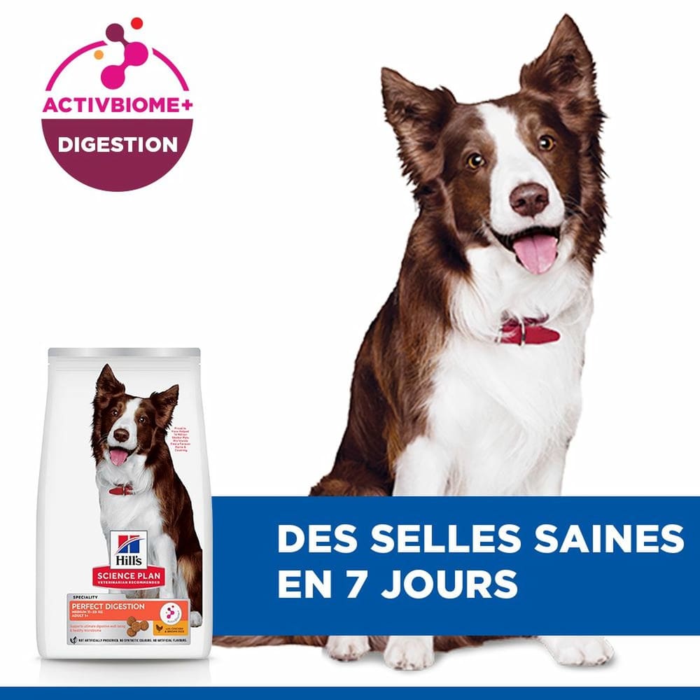 Canine Perfect Digestion Medium Breed