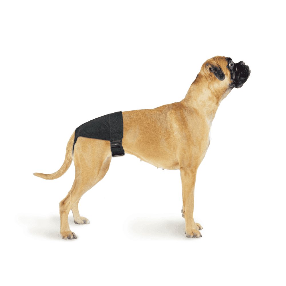 Culottes hygiéniques