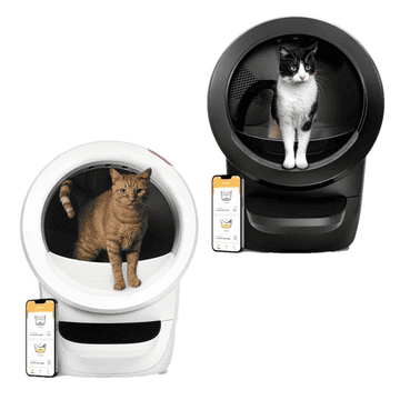 Litter-Robot 4 Katzentoilette