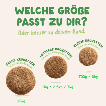 Adult Frisches Lamm