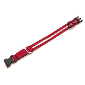 swisspet Collier lumineux Redloo