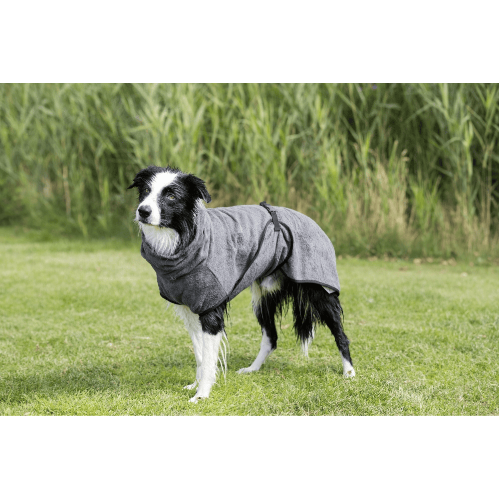 Peignoir de bain pour chien, gris