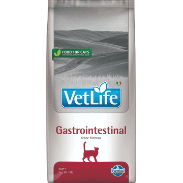 Feline Gastrointestinal