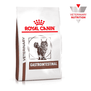 Gastrointestinal Cat
