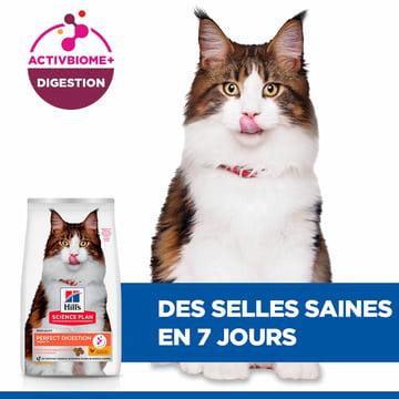 Feline Perfect Digestion