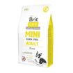 Care Dog Grainfree - Mini Breed - Lamb