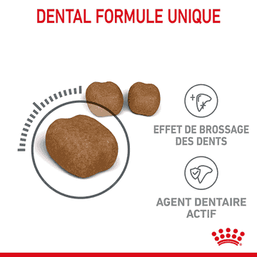 Oral  Care