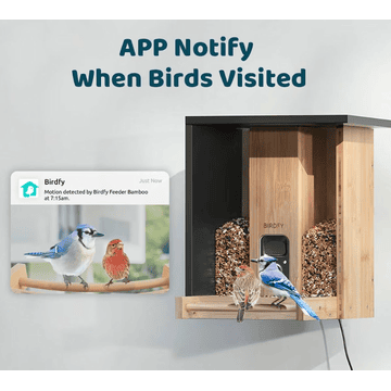 Birdfy Feeder Bamboo - Birdhouse with camera