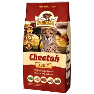 Adult Cheetah