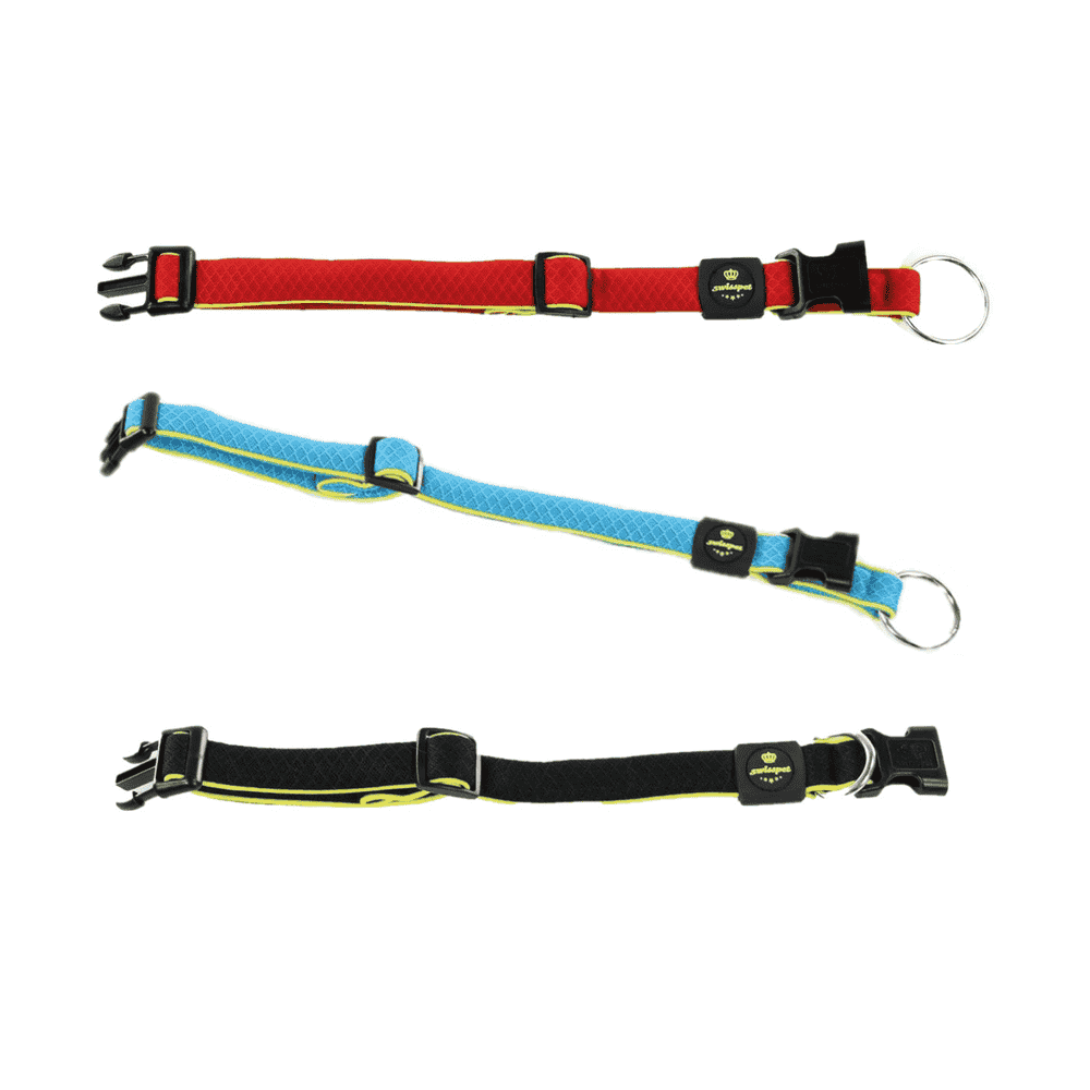 Active Dog Collier