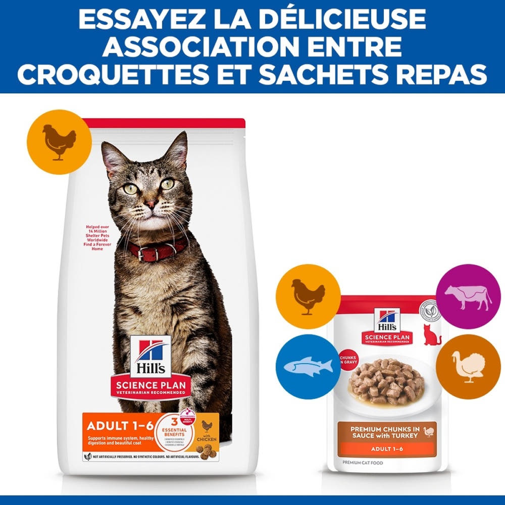 Feline Adult Turkey - Sachet