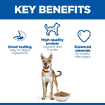 Canine Performance Adult