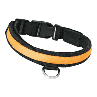 Nylon Blink- und Leuchthalsband