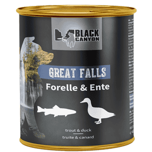 Great Falls Adult Forelle & Ente