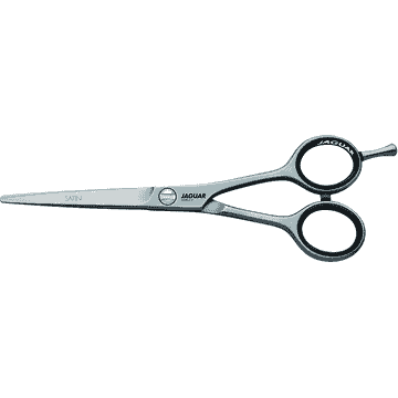 Satin Silver Ice White Line scissors