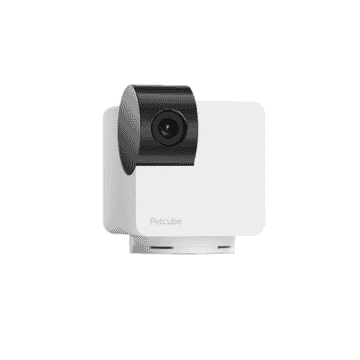 Cam 360 Haustierkamera
