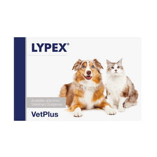 Lypex