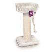 The Rebels Maine Coon 100 cat scratcher