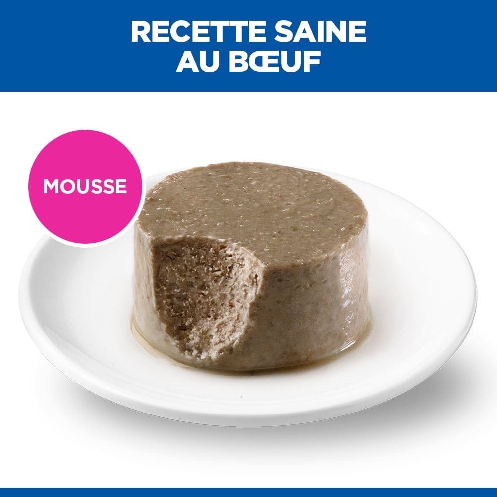 Canine Small & Mini Breed Mature Adult Beef - Boîte