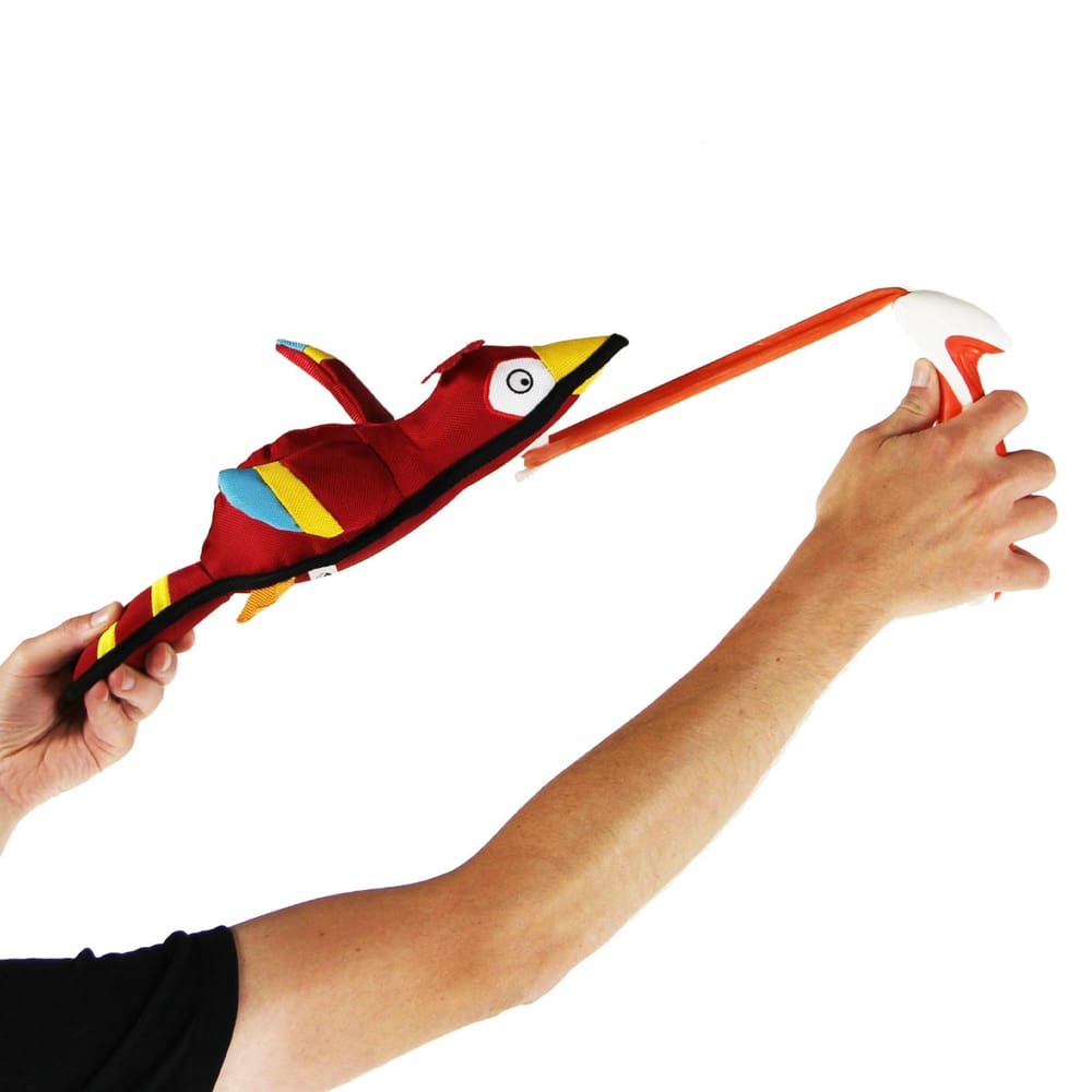 Birdy slingshot with slingshot