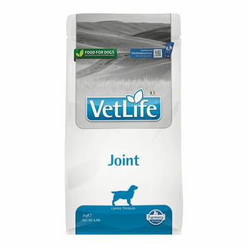 Canine Joint
