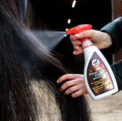 "Power Striegel" Spray pour chevaux foncés