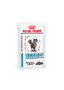 Skin & Coat Cat - sachet