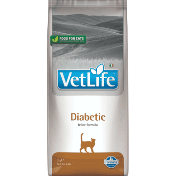 Feline Diabetic