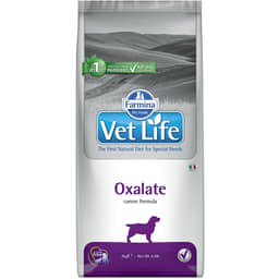 Canine Oxalate
