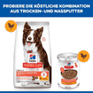 Canine Perfect Digestion - Dose