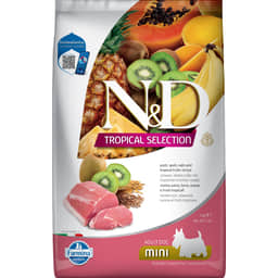 Canine Adult Mini Schwein