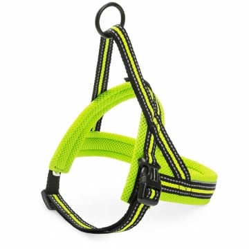 Geschirr Nordic Sport L