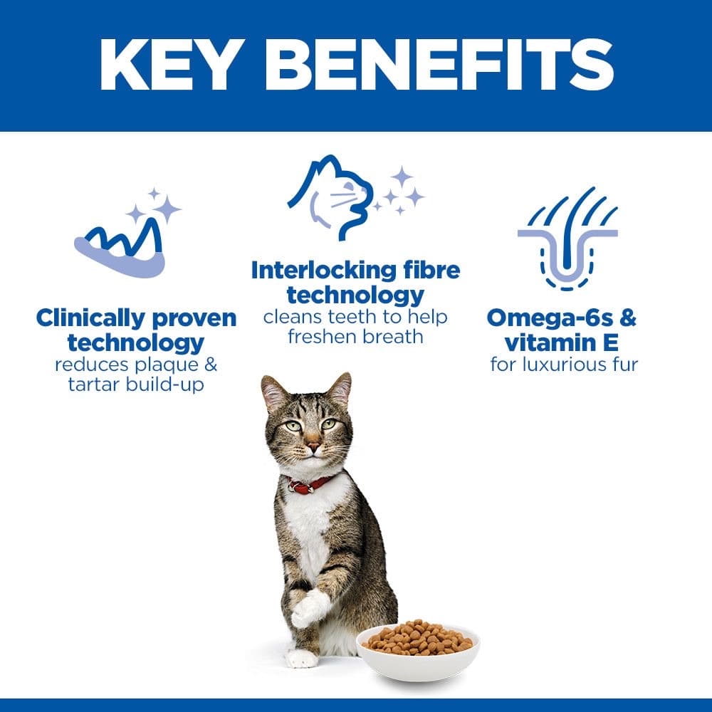 Feline Oral Care