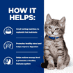 Kitten i/d Digestive Care Tender Chunks in Gravy Chicken - Fresh pouches