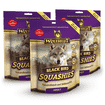 Black Bird Squashies