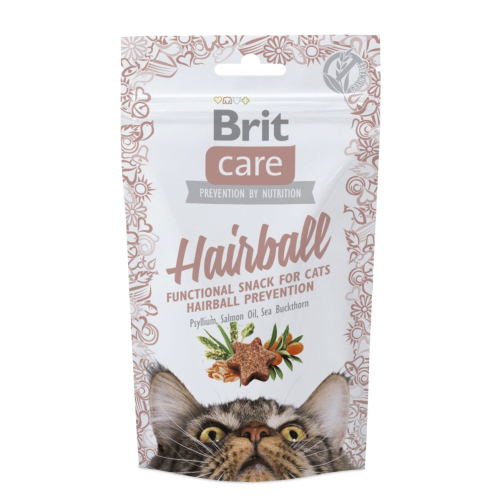 Care Cat Snack Hairball