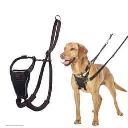 Halti No Pull Harness, schwarz